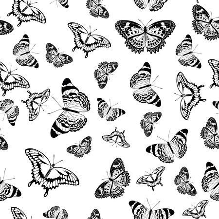 Vector seamless pattern of black and white butterflies over a white backgroundのイラスト素材