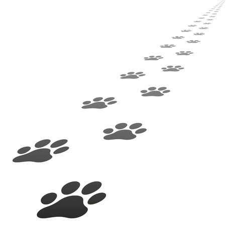 Perspective Footpath of vector dog prints walking straight away from the point of viewのイラスト素材