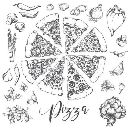 Hand Drawn high detail Vector illustration of a Sliced Pizzaのイラスト素材