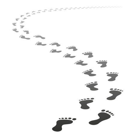 Vector foot tracks footpathのイラスト素材