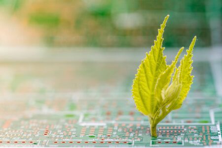 Close up of Electronic Circuits in Technology on Mainboard computer background  (logic board,cpu motherboard,Main board,system board,mobo)の写真素材
