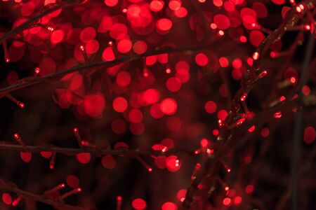 abstract blur bokeh valentine background.の写真素材