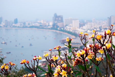 The most beautiful Viewpoint Pattaya Beach in Pattaya city  Chonburi,Thailand.の写真素材