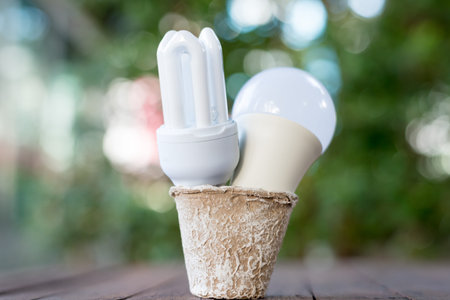 Energy saving LED BULB ECO With the environment