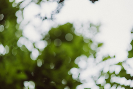 Abstract nature background and beautiful wallpaper.  (high quality)の写真素材