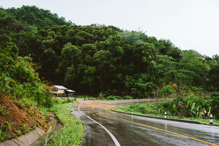 Foggy road in the forest ,Beautiful nature trail (Picture put grain)の写真素材