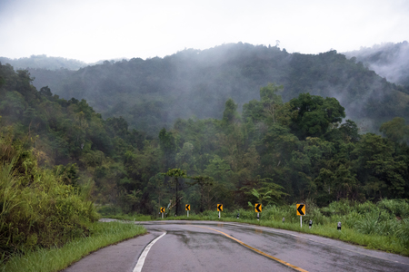 Foggy road in the forest ,Beautiful nature trail (Picture put grain)の写真素材