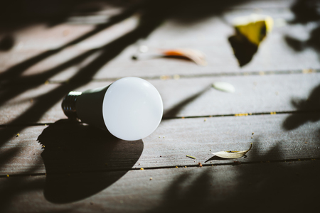 Energy saving LED BULB ECO With the environmentの写真素材