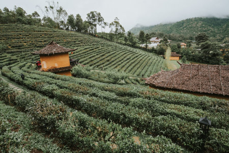 The Nature City Of North Mae Hong Son, Thailand.