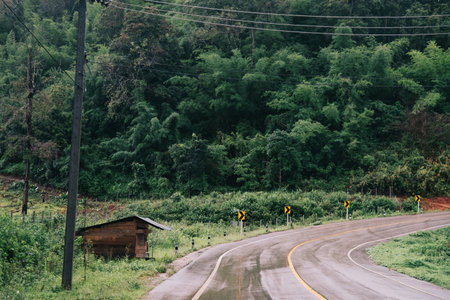 Foggy road in the forest ,Beautiful nature trail (Picture put grain)の写真素材