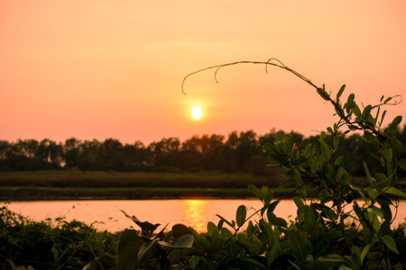 Amazing sea sunset, sky sunset background.の写真素材