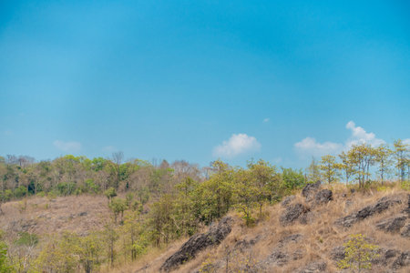 Panoramic view of clear blue sky and clouds, Blue sky background with tiny clouds. White fluffy clouds in the blue sky. Captivating stock photo featuring the mesmerizing beauty ofの写真素材