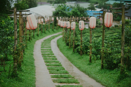 The Nature City Of North(Ban Ruk Thai)Mae Hong Son, Thailand.の写真素材