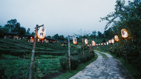 The Nature City Of North(Ban Ruk Thai)Mae Hong Son, Thailand.の写真素材