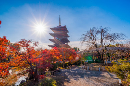 The most beautiful viewpoint of Toji(To-ji) is a popular tourist destination in Kyoto, Japan.のeditorial素材