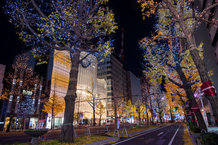 Osaka,Japan -December,17:Dotonbori is the most famous nightlife and food area for tourist, The famed...