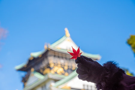 The castle is one of Japan's most famous landmarks and it played a major role in the unification of Japan during the sixteenth century, Osaka Castle Japanの写真素材