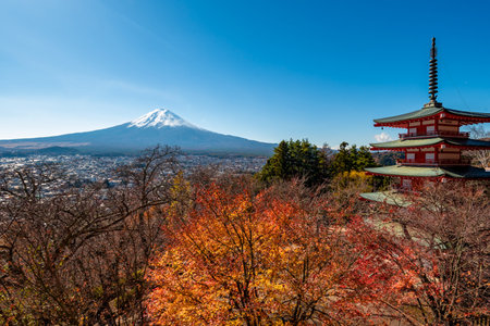 Mount Fuji, the iconic symbol of Japan, during the season of autumn foliage, a period of exceptional beauty.kawaguchiko,japan.の写真素材
