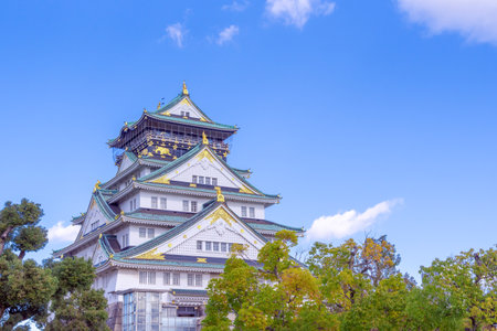 The castle is one of Japan's most famous landmarks and it played a major role in the unification of Japan during the sixteenth century, Osaka Castle Japanの写真素材