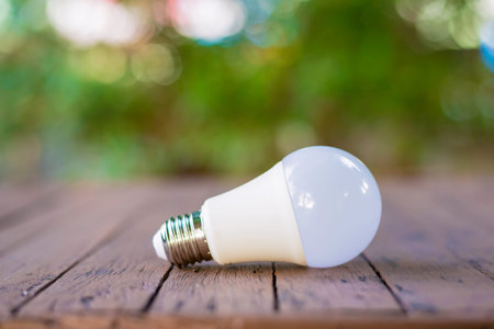light LED BULB ECO (isolated on white background)
