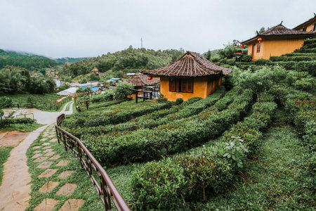 The Nature City Of North(Ban Ruk Thai)Mae Hong Son, Thailand.の写真素材