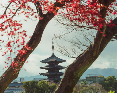 Gion,The district was built to accommodate the needs of travellers and visitors to the shrine.It eventually evolved to become one of the most exclusive and well-known geisha distriの写真素材