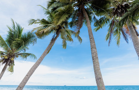Beautiful nature sea summer background,Sand beach