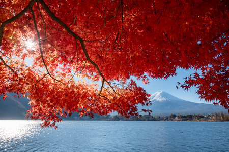 Mount Fuji, the iconic symbol of Japan, during the season of autumn foliage, a period of exceptional beauty.kawaguchiko,japan.の写真素材