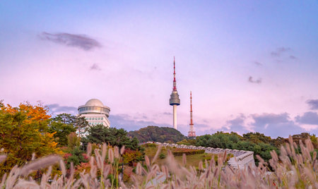 panoramic, tourist attractions in the city park of seoul City, Asia business concept image, panoramic modern cityscape building in korea. 
The most beautiful Viewpoint seoul city,sの写真素材