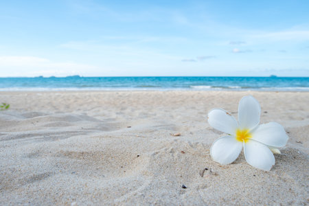 Beautiful sea summer, sand beach backgroundの写真素材