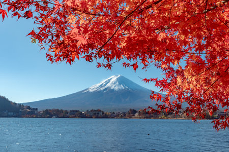Mount Fuji, the iconic symbol of Japan, during the season of autumn foliage, a period of exceptional...
