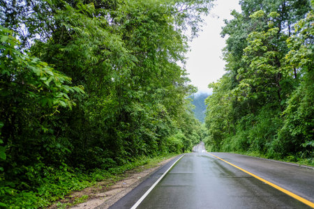 beautiful landscape nature in thailand.