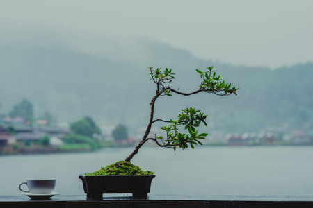 The Nature City Of North(Ban Ruk Thai)Mae Hong Son, Thailand.の写真素材