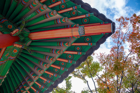 panoramic, tourist attractions in the city park of seoul City, Asia business concept image, panoramic modern cityscape building in korea. 
The most beautiful Viewpoint seoul city,sの写真素材