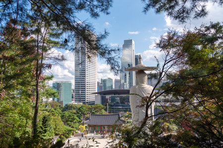 panoramic, tourist attractions in the city park of seoul City, Asia business concept image, panoramic modern cityscape building in korea. 
The most beautiful Viewpoint seoul city,sの写真素材