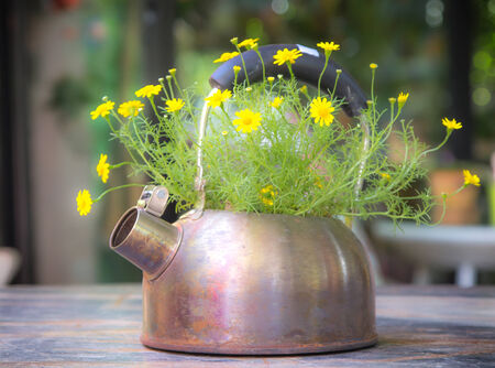 Yellow flowers in old vase styleの写真素材