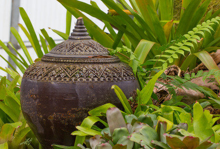 Lanna vase style in public botanic gardenの写真素材