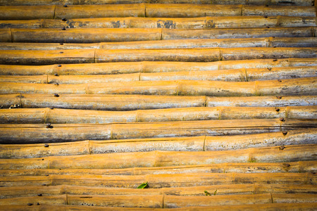 Bamboo backgroundの写真素材