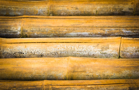 Bamboo backgroundの写真素材