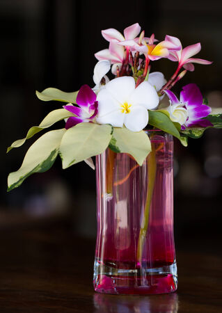 Plumeria and orchid flower in vaseの写真素材