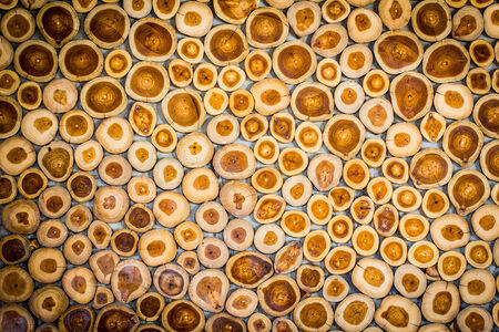 Wood timber on wall for backgroundの写真素材