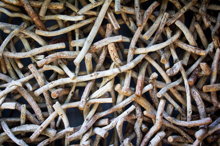 Wood timber on wall for backgroundの写真素材