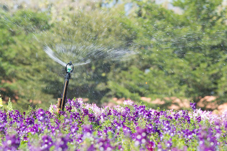 Sprinkler watering  flowers in the gardenの写真素材