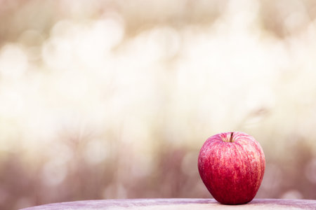 Apple on bokeh garden background in retro styleの写真素材