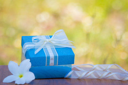 Blue gift box with gold ribbon and bow on meadow background