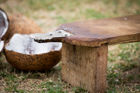 Coconut grater. The device is built with wisdom . Ancient people. Grate the coconut milk for cookingの写真素材