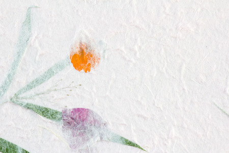 Mulberry paper texture backgroundの写真素材