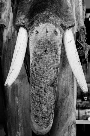 Closeup face of wooden elephant in black and whiteの写真素材