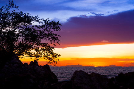 Beautiful sunset over the sea with silhouette of tree and rockの写真素材