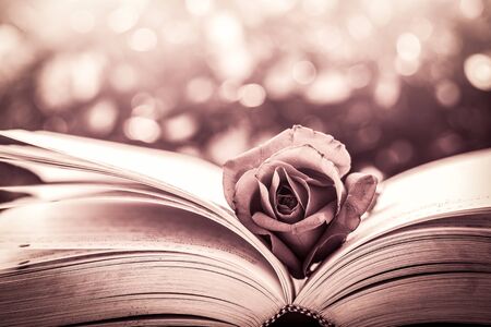 Red rose on the open book on bokeh background in vintage color filterの写真素材